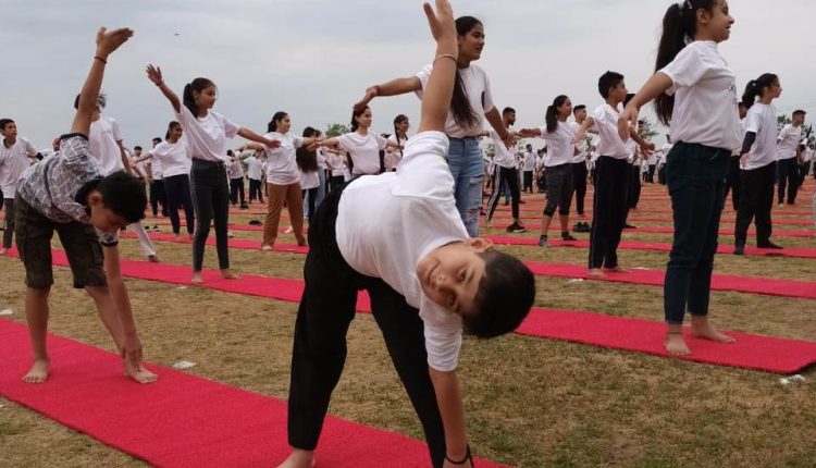 Yoga enthusiasts across world celebrate