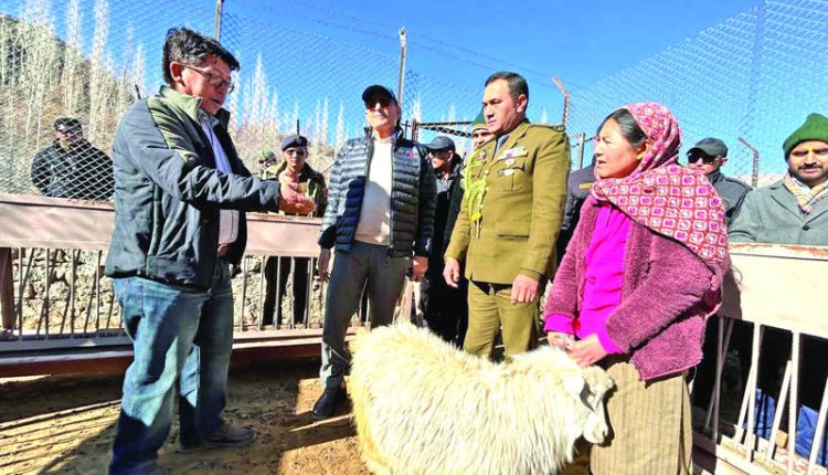 Govt committed to promote Ladakh Pashmina globally, says LG Kavinder