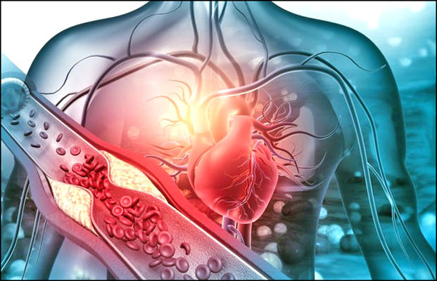 Cholesterol Could Power Tomorrow’s Electronics