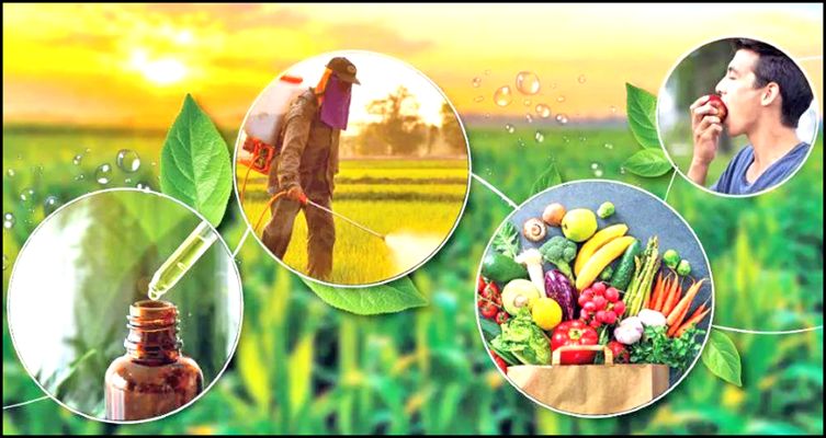 Use of Biopesticides in Farming