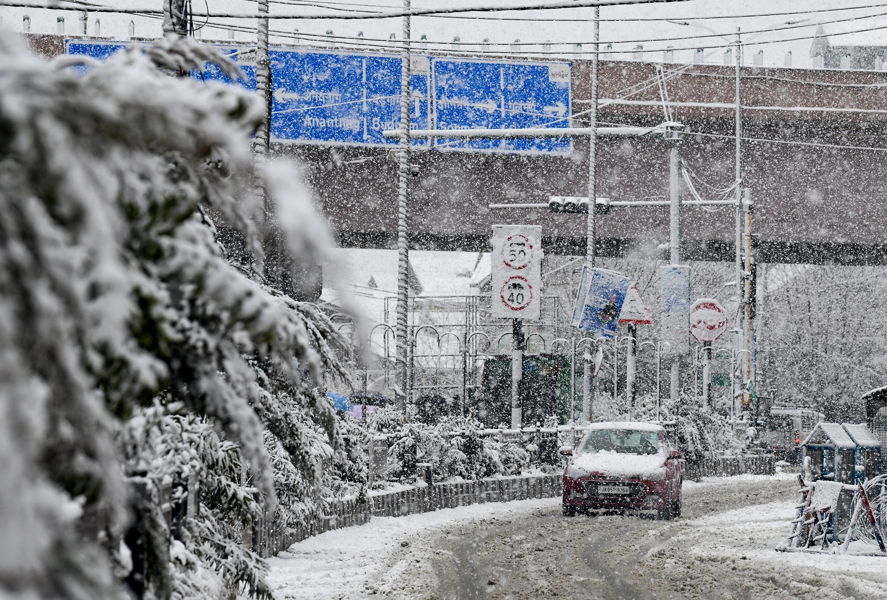 From postcard snow hills to rain-soaked plains, dry spell ends in North India, farmers, tourists rejoice