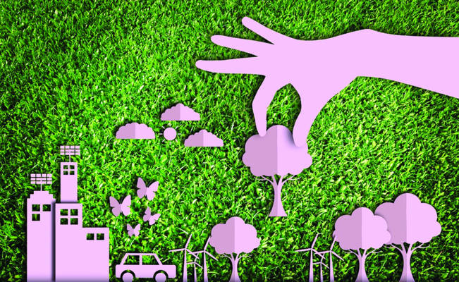 Challenges and Opportunities in Rural Entrepreneurship